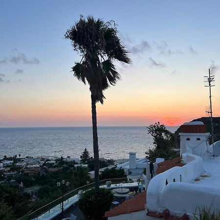 Blu Panorama Bed & Breakfast Forio di Ischia Dış mekan fotoğraf