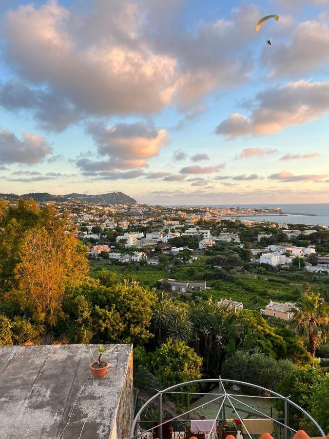 Blu Panorama Bed & Breakfast Forio di Ischia Dış mekan fotoğraf