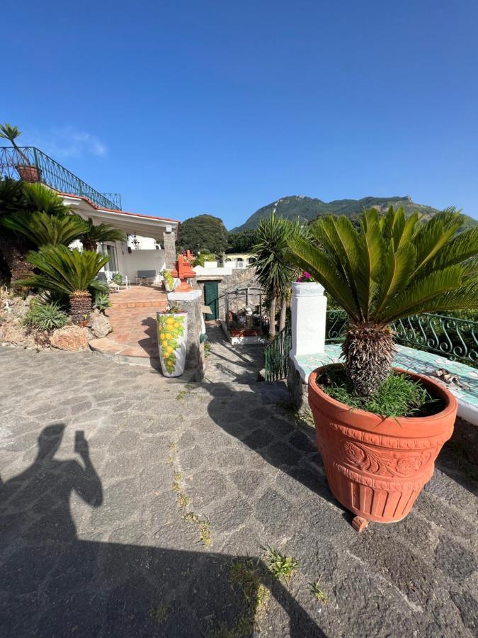 Blu Panorama Bed & Breakfast Forio di Ischia Dış mekan fotoğraf