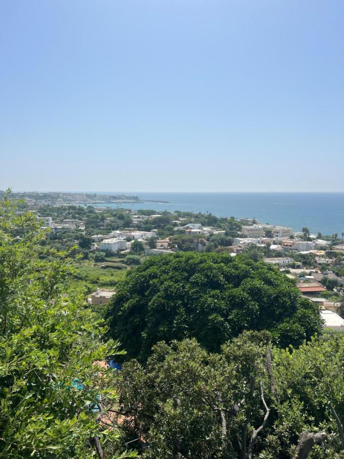 Blu Panorama Bed & Breakfast Forio di Ischia Dış mekan fotoğraf