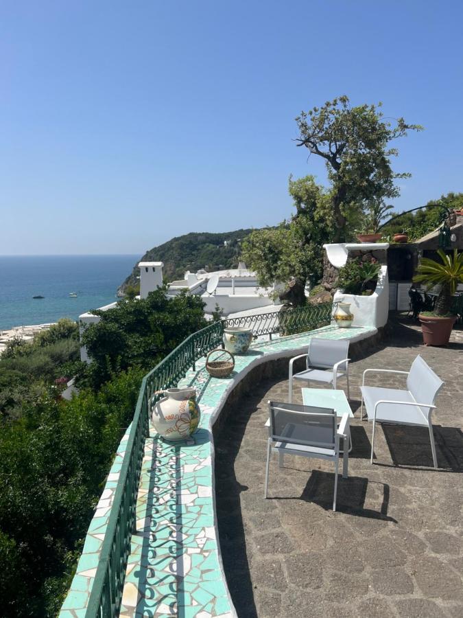 Blu Panorama Bed & Breakfast Forio di Ischia Dış mekan fotoğraf