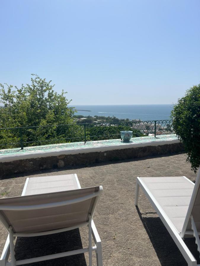 Blu Panorama Bed & Breakfast Forio di Ischia Dış mekan fotoğraf